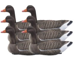 Pack 6 appelants oies cendrées au gagnage HD flottantes têtes amovibles