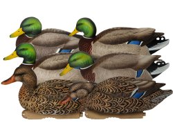 Pack 6 appelants colverts HD GHG