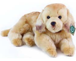 golden retriever 32 cm