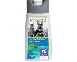 Shampooing Anti-odeur pour chien ACTIPLANT