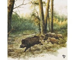 Lot de 20 serviettes en papier Sangliers LOVERGREEN