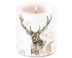 Bougie tête de cerf LOVERGREEN