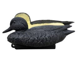 Appelant sarcelle moussée noire
