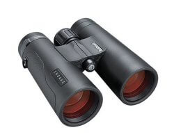 Jumelles BUSHNELL engage EDX 8X42