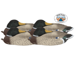 Pack 4 appelants colvert mâle dormeur SPORTPLAST