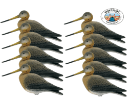 Pack 10 appelants forme barge