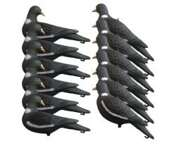 Pack 12 Appelants Pigeons ramiers actifs sans pattes