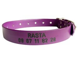 Collier PVC gravé violet