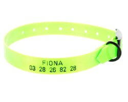 Collier gravé TPU vert 1