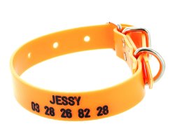 Collier gravé PVC petit chien orange fluo 