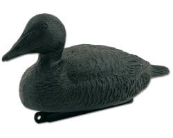 appelant_eider_noir_cote_chasse
