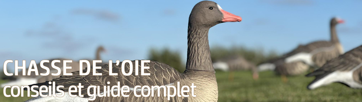 Chasse de l’oie : techniques, accessoires, blettes et appeaux. Le guide complet pour bien s’équiper