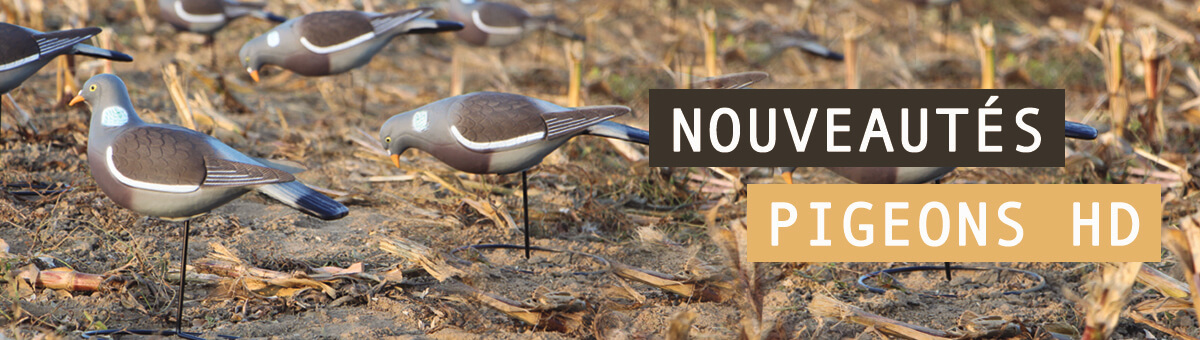 Nouvelles blettes de Pigeon HD développé par Côté Chasse