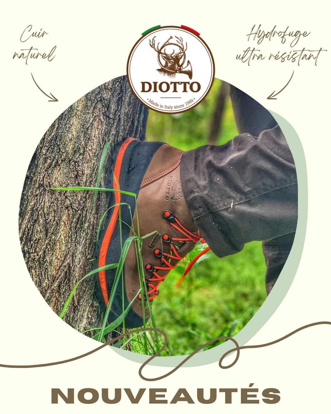 Nouveautés de la marque DIOTTO