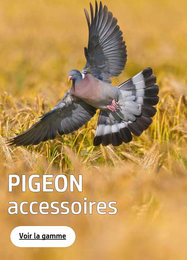 Accessoires chasse du pigeon