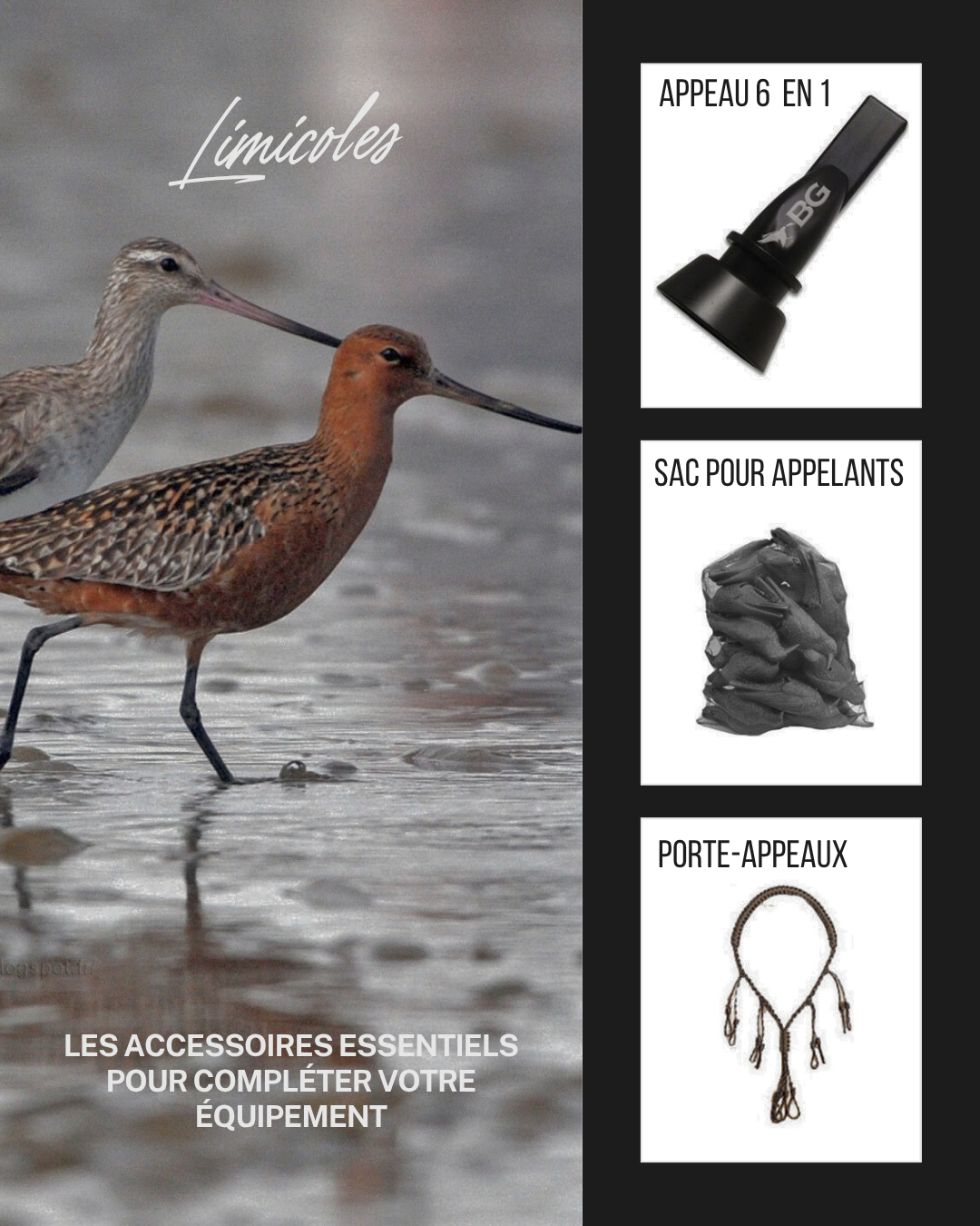 Appeaux limicoles
