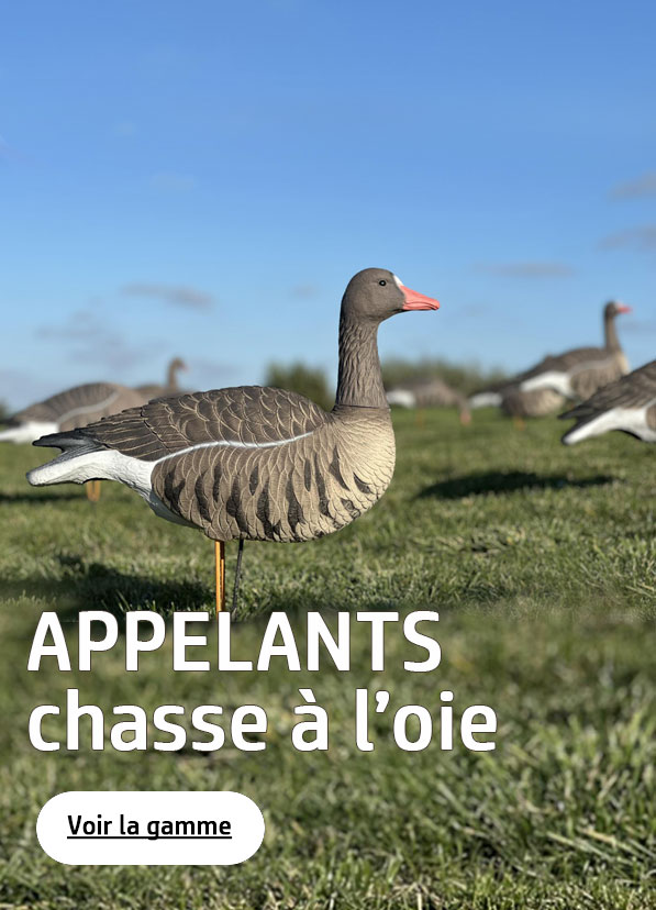 Appelants chasse à l'oie