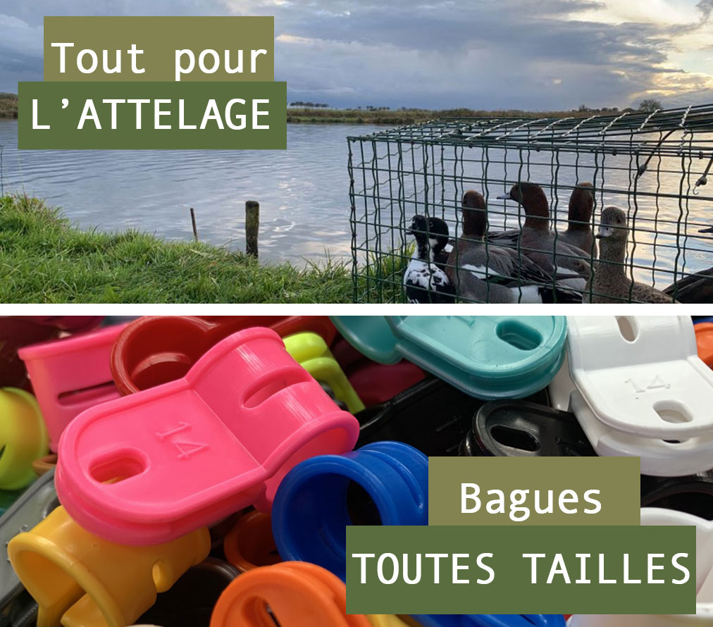 Attelage des appelants