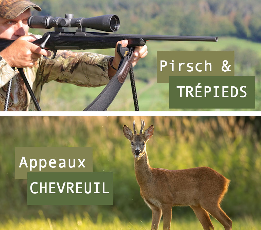 Approche et chasse du chevreuil
