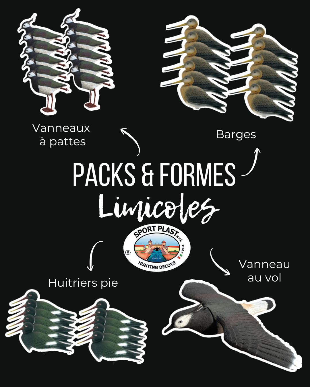 Appelants limicoles Sportplast