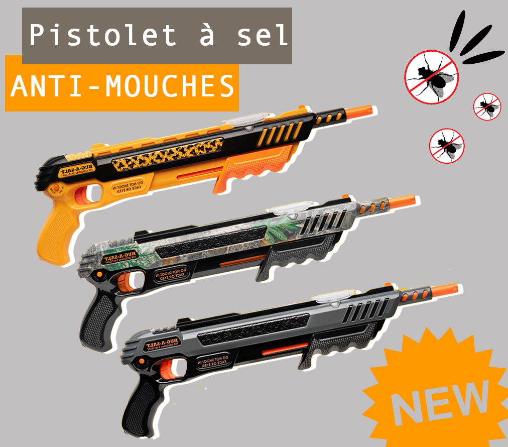 Pistolet à sel anti-mouches