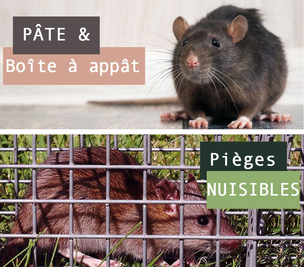 Sélection pièges et répulsifs