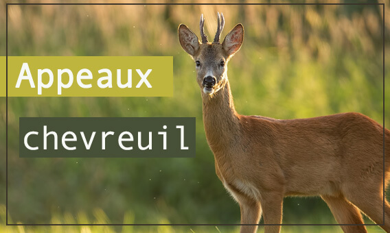 Côté Chasse : Article de chasse et équipement chasseur en ...