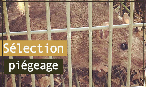 Côté Chasse vente en ligne d'articles de chasse et ...